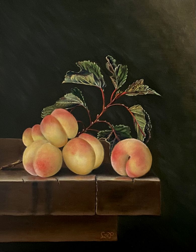 Five Apricots (after Adriaen Coorte)